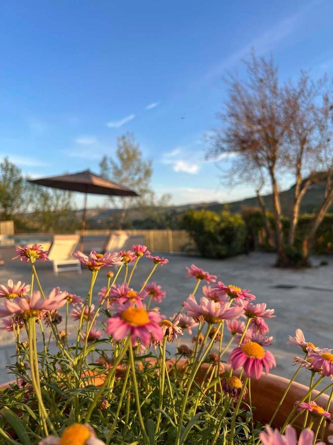 Villa Giara Calosso Dış mekan fotoğraf
